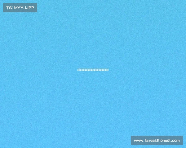 上海武术散打赛事—上海武术散打赛事有哪些 上海武术散打赛事—上海武术散打赛事有哪些