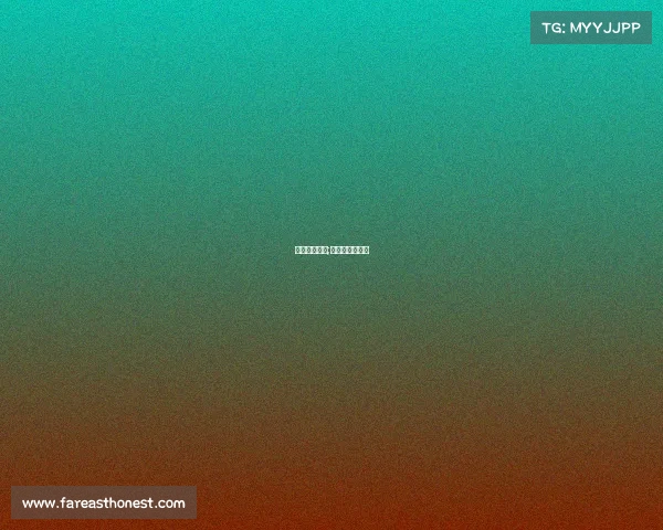 国际泰拳赛事;国际泰拳理事会