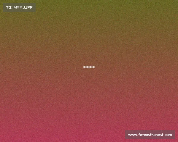 最近有什么比赛？