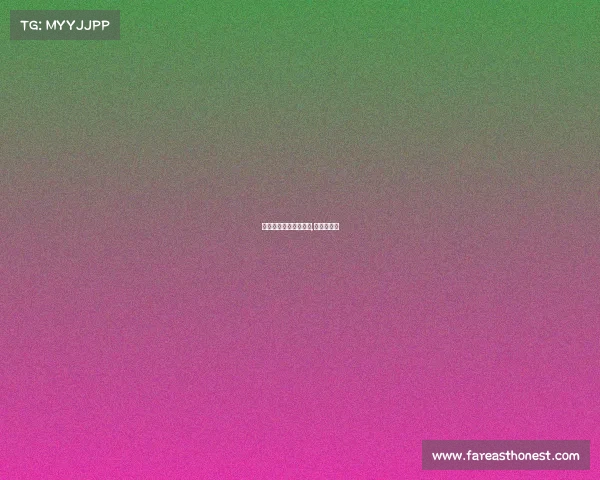 荷兰国际赛事海报大赛,荷兰锦标赛