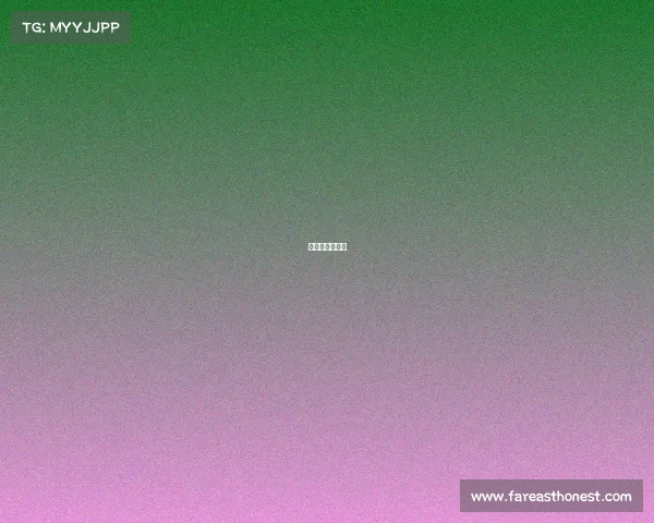 比利时比赛成绩